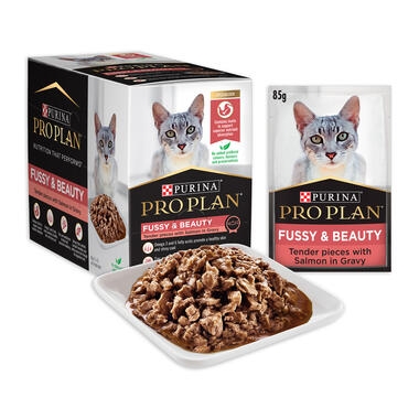 Wet food hotsell for fussy cats